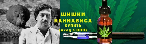 прущий лед Арсеньев