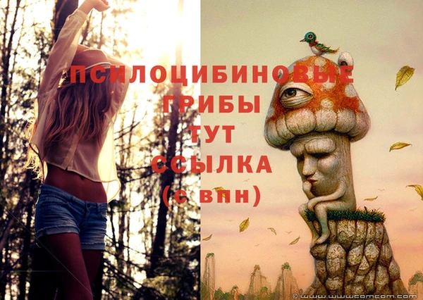 mdpv Аркадак